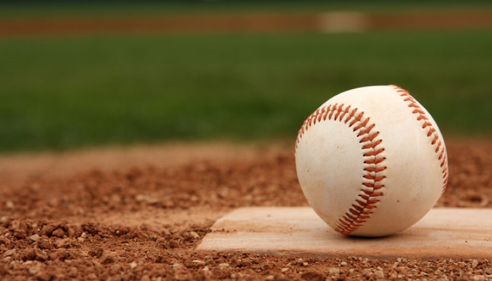 Incident of Fan Interference at 2024 World Series Game 4