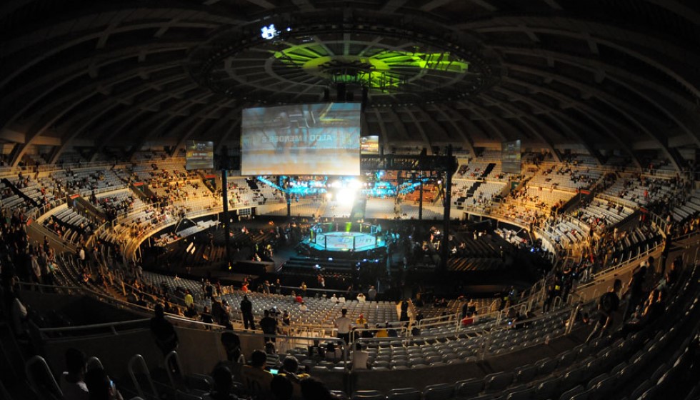 UFC: A Look at Key Fighters and Divisions