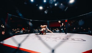 Conor McGregor's Absence from the Octagon Extended to 2024