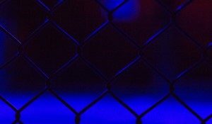 Jack Catterall vs. Regis Prograis: A Clash for a World Title Shot in 2025